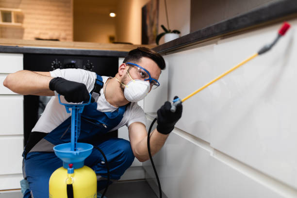Best Mosquito Control Services  in Golden Valley, AZ