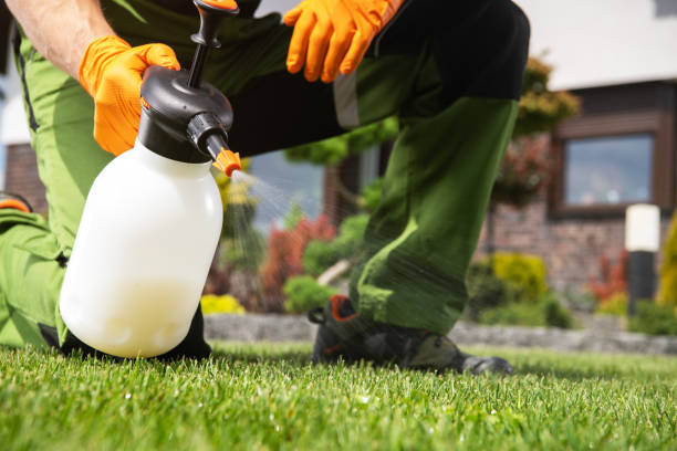 Best Best Pest Control Companies  in Golden Valley, AZ
