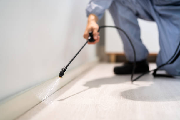 Best Pest Prevention Services  in Golden Valley, AZ