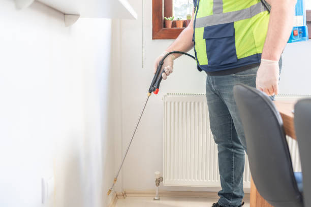 Best Termite Control Services  in Golden Valley, AZ