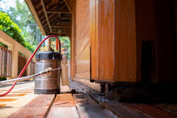 Best Cockroach Control Services  in Golden Valley, AZ